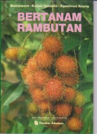 Image of Bertanam Rambutan