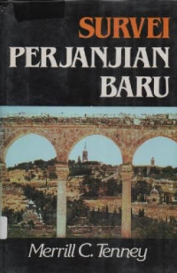 Image of Survei Perjanjian Baru